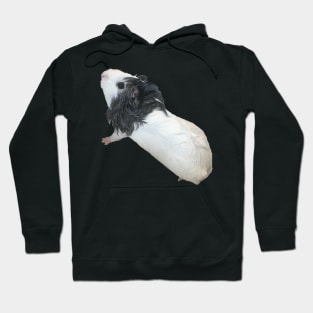 Bath peg Hoodie